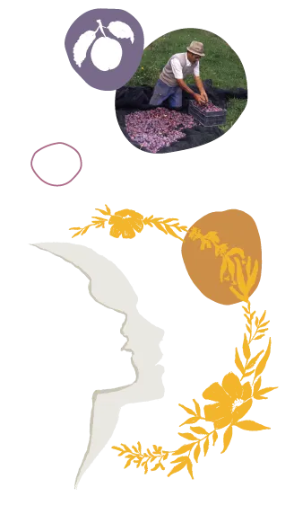 silhouette corporate Expanscience